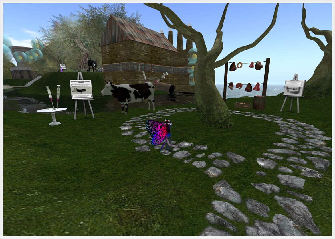 RFLSL 2013 C (108)